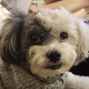 Meet your Posher, Marylou